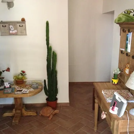 Le Tartarughe
