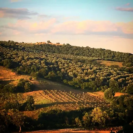 Le Tartarughe Penzion 3*