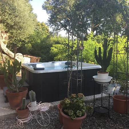 Guest house Le Tartarughe Rooms