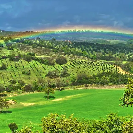 Le Tartarughe Rooms Guest house Magliano in Toscana