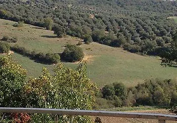 Guest house Le Tartarughe Rooms Magliano in Toscana